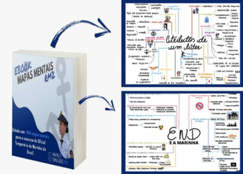 Mapas Mentais RM2