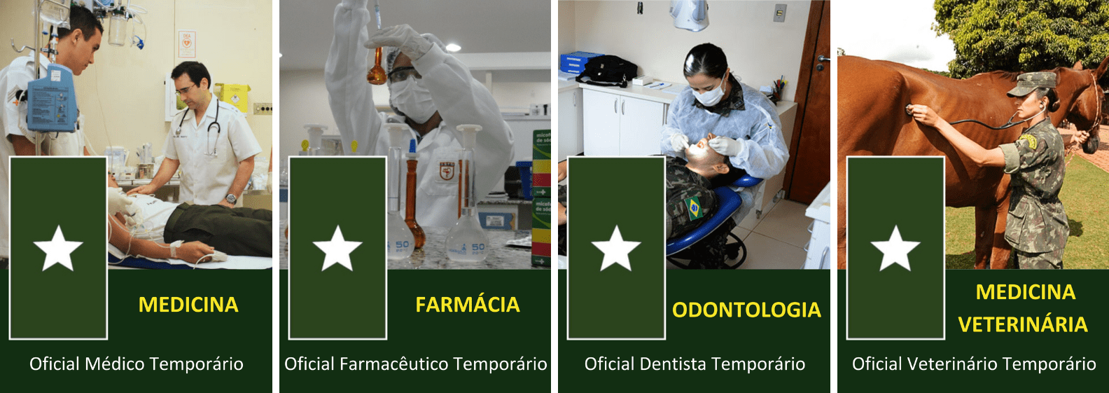 Processo Seletivo de MFDV 6RM