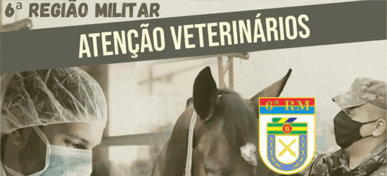 Processo Seletivo 6RM - Veterinário